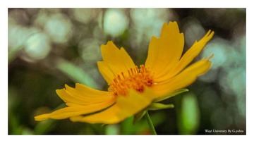 P6200005副本.jpg