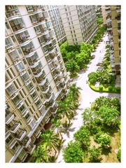 P7110395-1副本.jpg