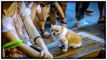 P8264368副本.jpg