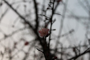 IMG_1436.JPG