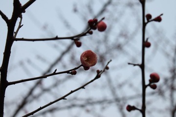 IMG_1448.JPG