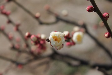 IMG_1313.JPG