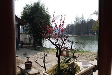 IMG_1319.JPG