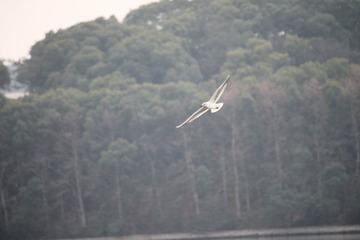 IMG_1352.JPG