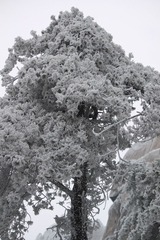 旋转 IMG_1932.JPG