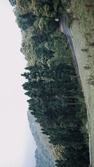 1629916