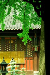 20120427-IMGP1750.jpg