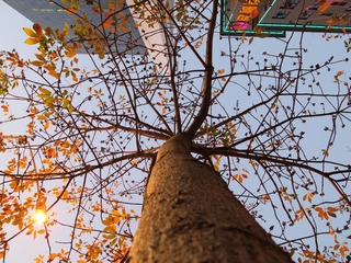 P3190047.JPG