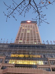 P3190050.JPG