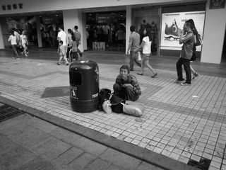 P1040450.jpg