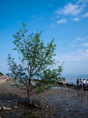 P1040624.jpg