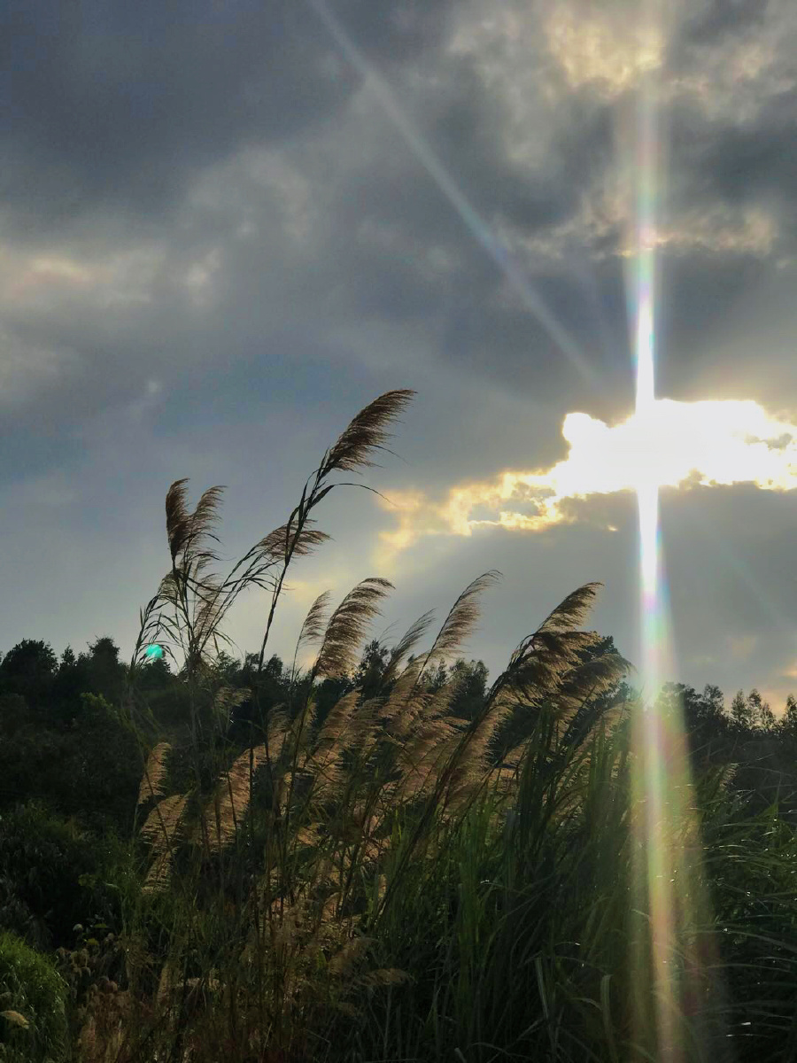 那下午爬山抓拍那阳光照进我黑暗的生活