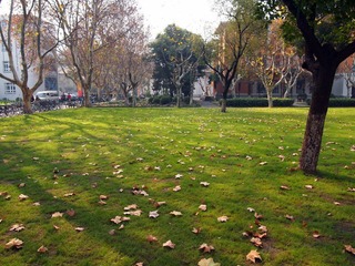 PC110427.JPG