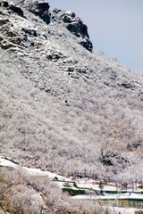 09-IMGP6896.jpg