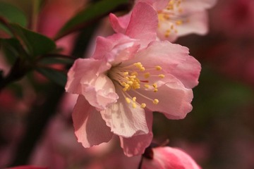20120406IMG_5725.jpg