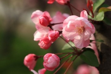 20120406IMG_5727.jpg