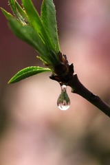 20120406IMG_5745.jpg