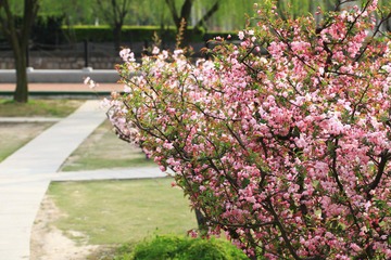20120406IMG_5732.jpg
