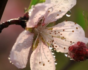 20120406IMG_5735.jpg