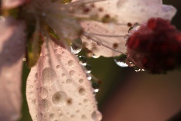 20120406IMG_5736.jpg