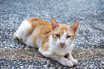 20130329-DSC06561.jpg