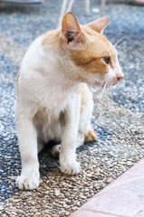 20130329-DSC06564.jpg