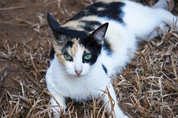 20130329-DSC06649.jpg