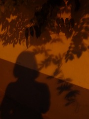 EBA529B7-B5B3-4C97-BD94-193FBACBADB4/L0/001