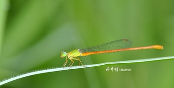 _DSC5023.jpg