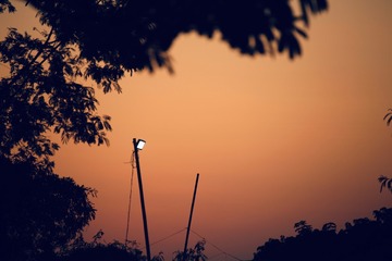 26281A1D-013F-4F58-B72D-9E5278400709/L0/001