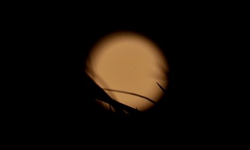 0D989BAD-F7F2-4AB1-BD69-FA5DB8ED4296/L0/001