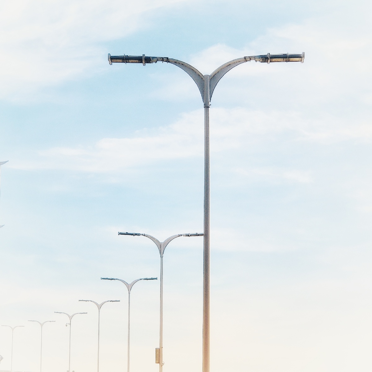 一排路灯向南飞