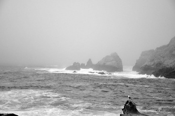 _DSC0218.jpg