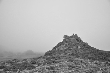 _DSC0221.jpg