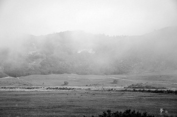 _DSC0295.jpg