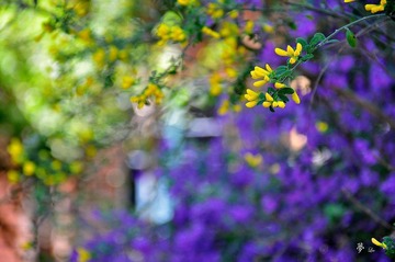 _DSC0513.jpg