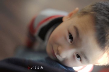 DSC_7919bb.jpg