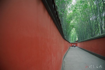 DSC_3113b.jpg