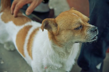 DSC_3217.jpg