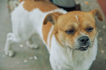 DSC_3216.jpg