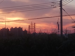 3054537