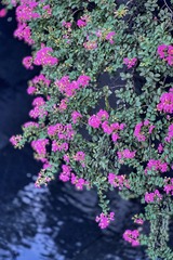 B0A34FCF-7341-4B8B-9817-55F081822F46/L0/001