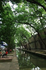 DSCF8210.JPG