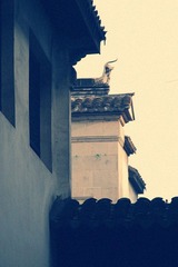2011.4.10 375_副本.jpg