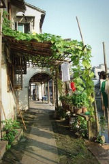 2011.4.10 453_副本.jpg