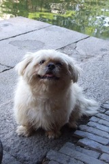 2011.4.10 659_副本.jpg