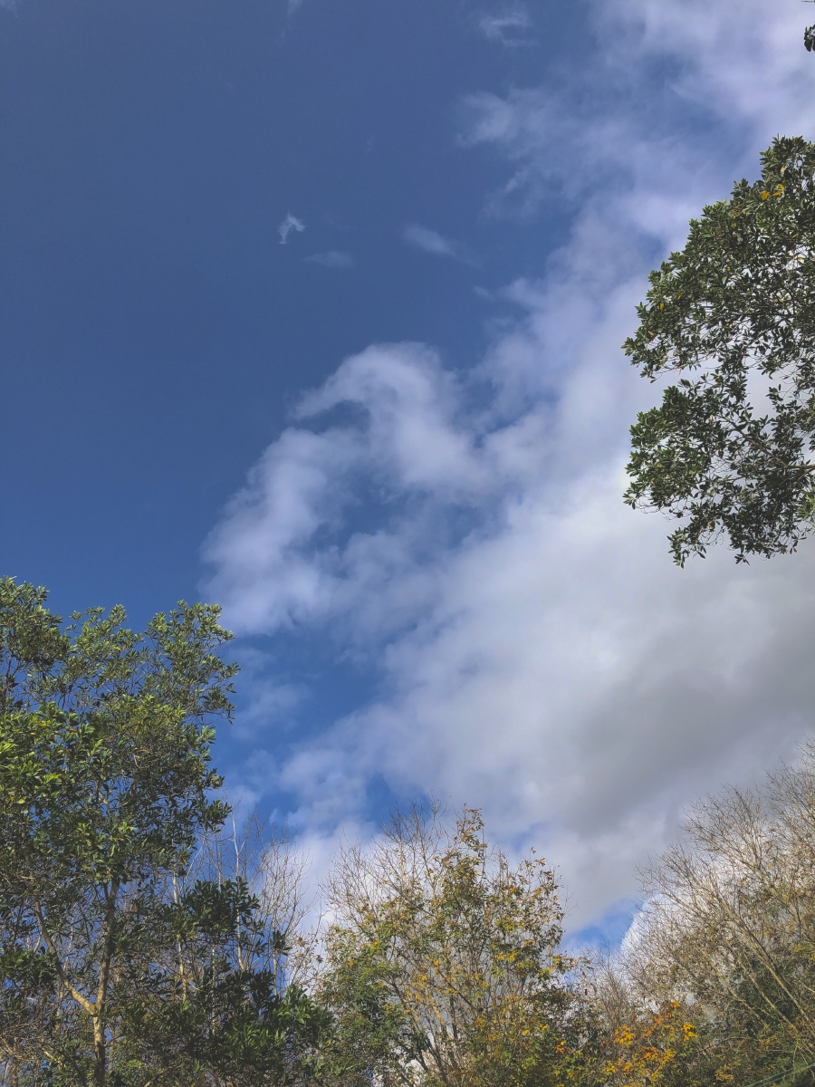 贴近大自然感受生活美好