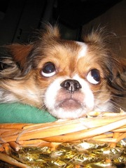 IMG_0333.jpg