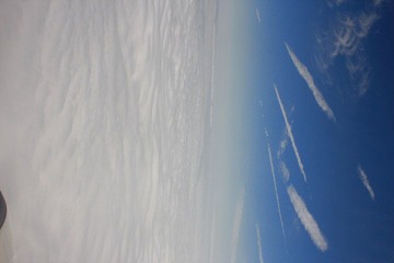 IMG_5509.JPG