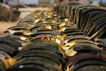 IMG_1473.JPG